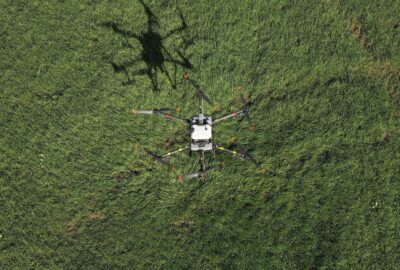 DJI Agras T30 drone spraying
